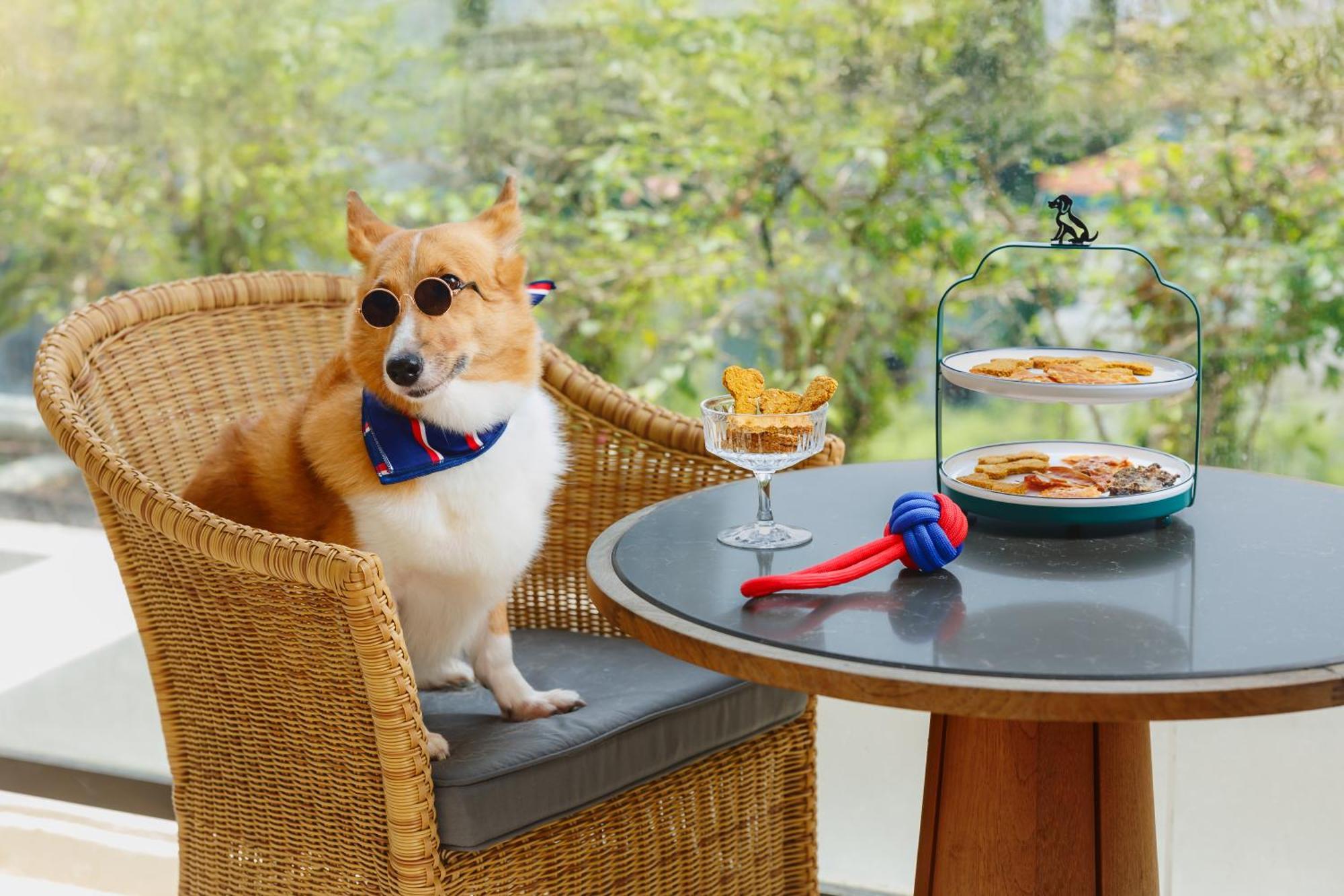 Conrad Orchard Khách sạn 5*