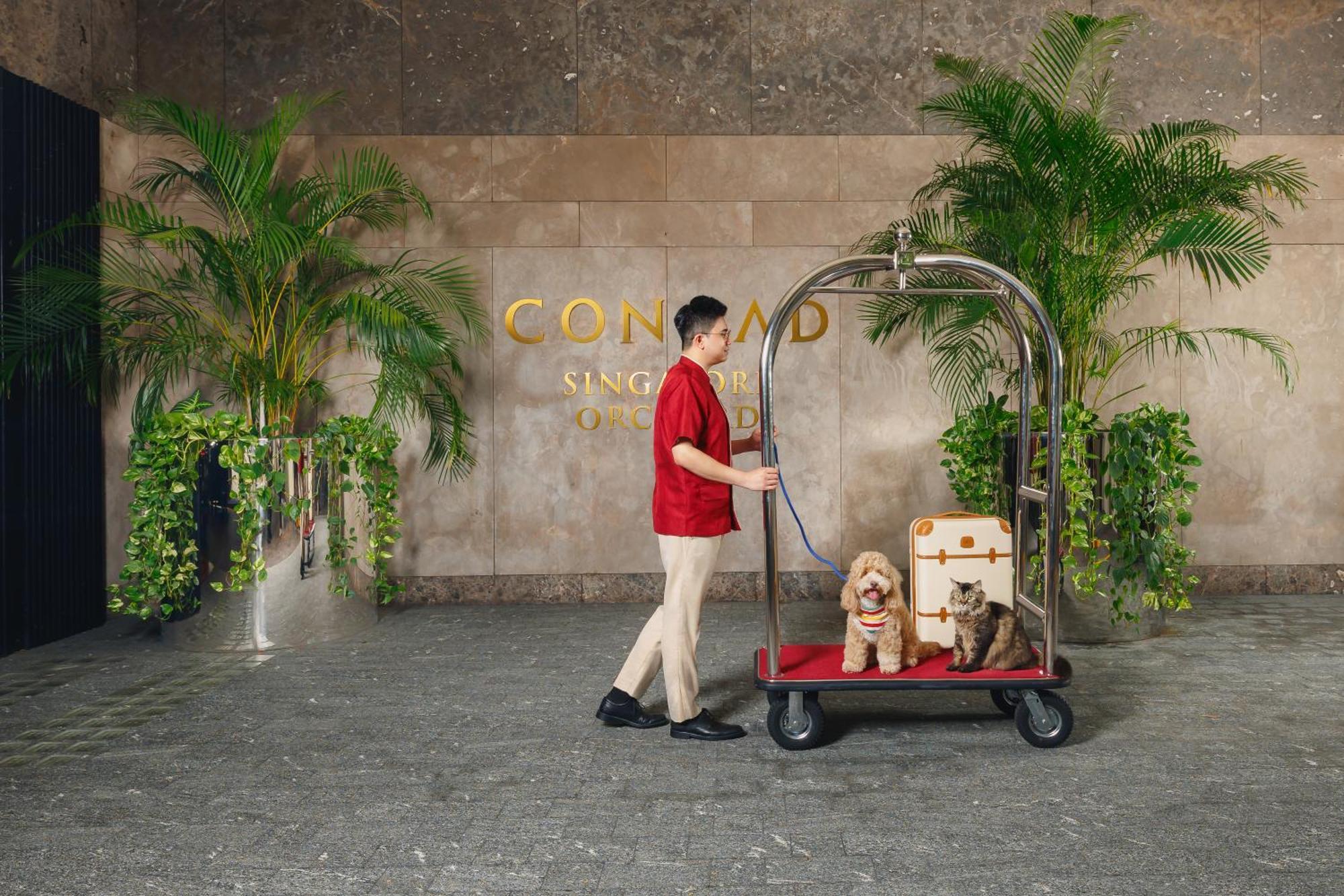 Khách sạn Conrad Orchard 5*
